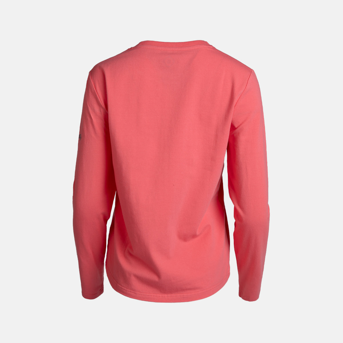 CAMISETA MANGA LARGA BRIANES W LS