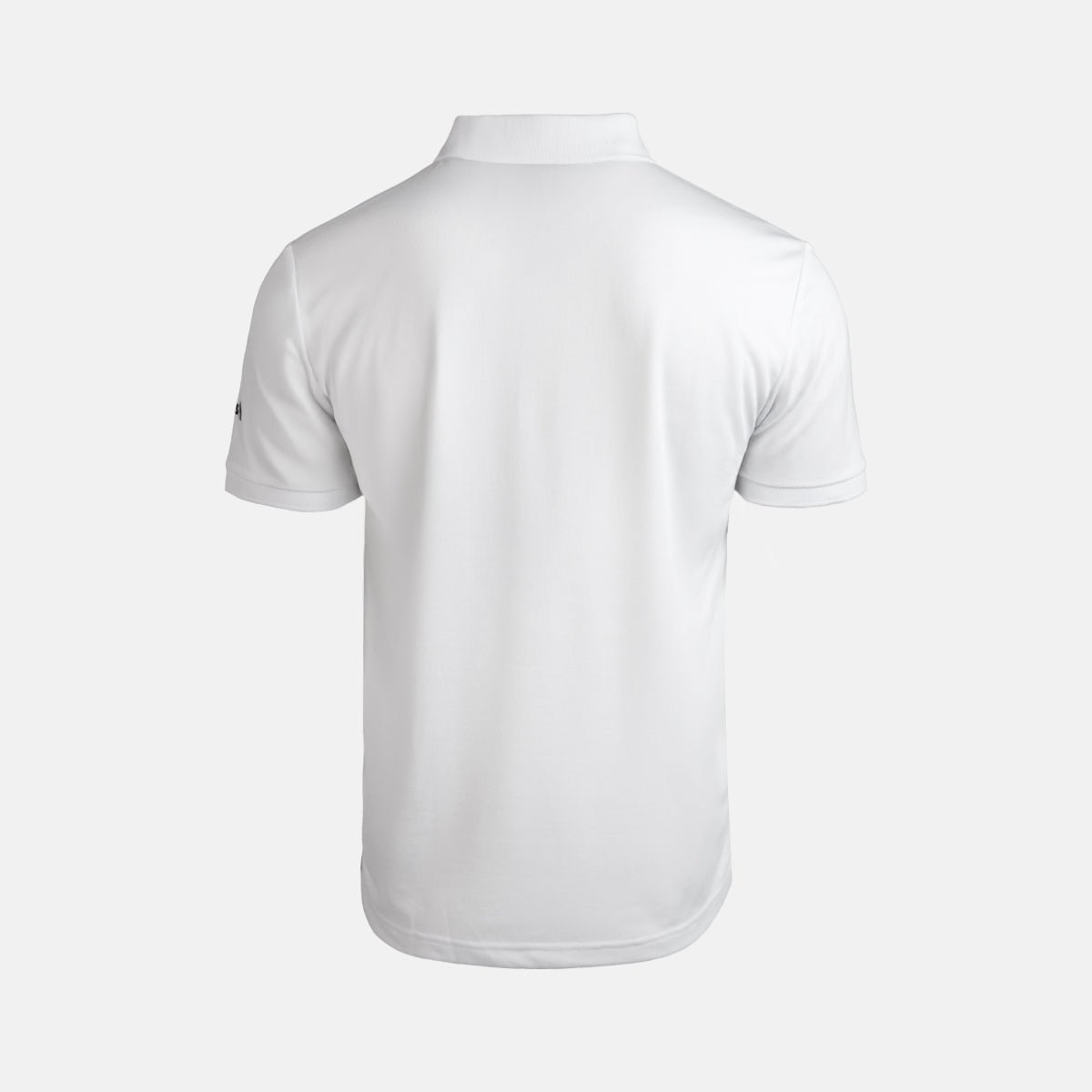 POLO TECNICO PALERMO