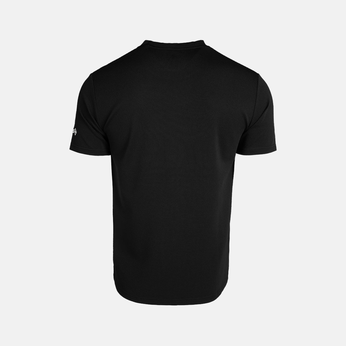 CAMISETA TECNICA HOMBRE HOLLIS M