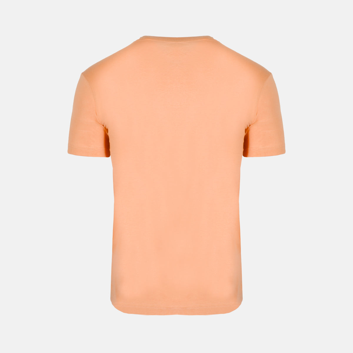 CAMISETA ALGODON MANGA CORTA DAX M