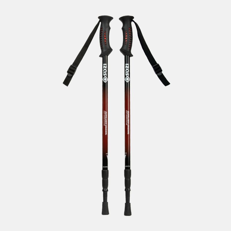 payment management single isor trekking canes